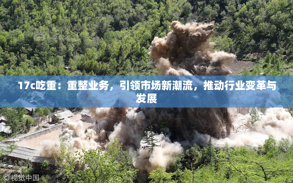 17c吃重：重整业务，引领市场新潮流，推动行业变革与发展