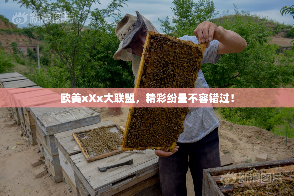 欧美xXx大联盟，精彩纷呈不容错过！