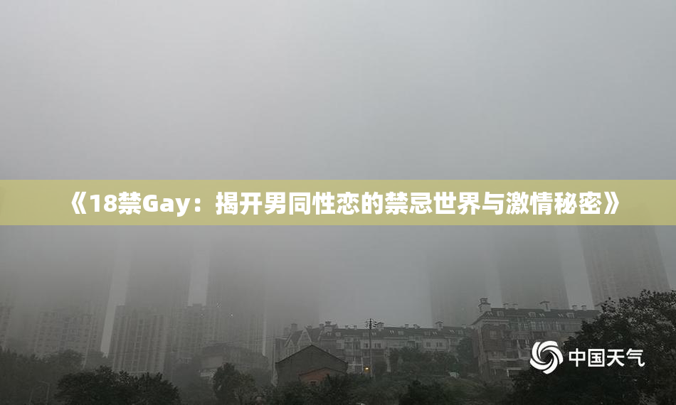 《18禁Gay：揭开男同性恋的禁忌世界与激情秘密》