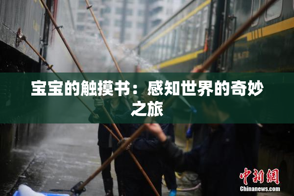 宝宝的触摸书：感知世界的奇妙之旅