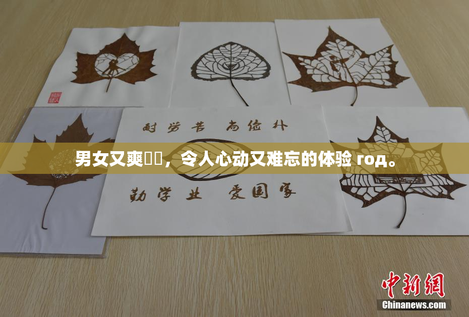 男女又爽❌‌，令人心动又难忘的体验 год。