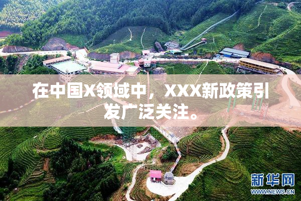 在中国X领域中，XXX新政策引发广泛关注。