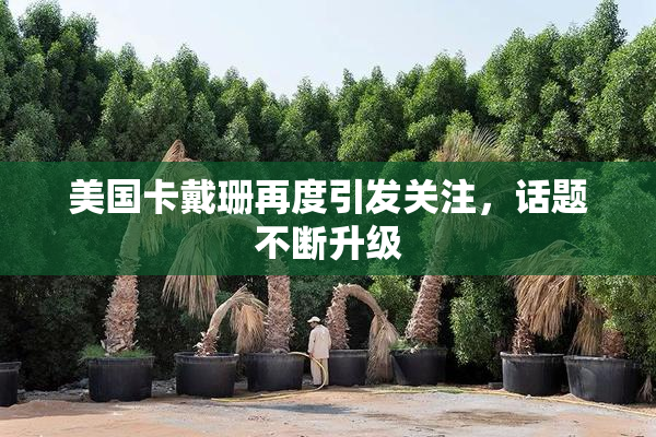 美国卡戴珊再度引发关注，话题不断升级