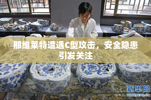 那维莱特遭遇C型攻击，安全隐患引发关注