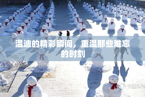 温迪的精彩瞬间，重温那些难忘的时刻