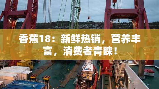 香蕉18：新鲜热销，营养丰富，消费者青睐！
