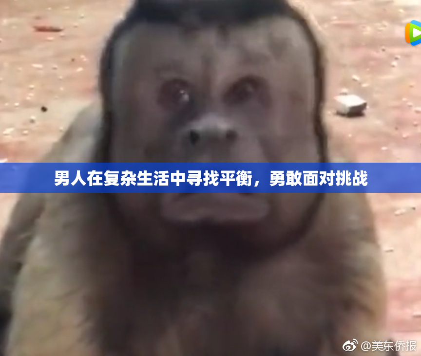 男人在复杂生活中寻找平衡，勇敢面对挑战