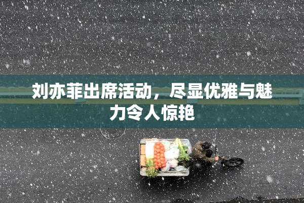 刘亦菲出席活动，尽显优雅与魅力令人惊艳