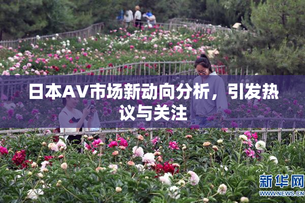 日本AV市场新动向分析，引发热议与关注