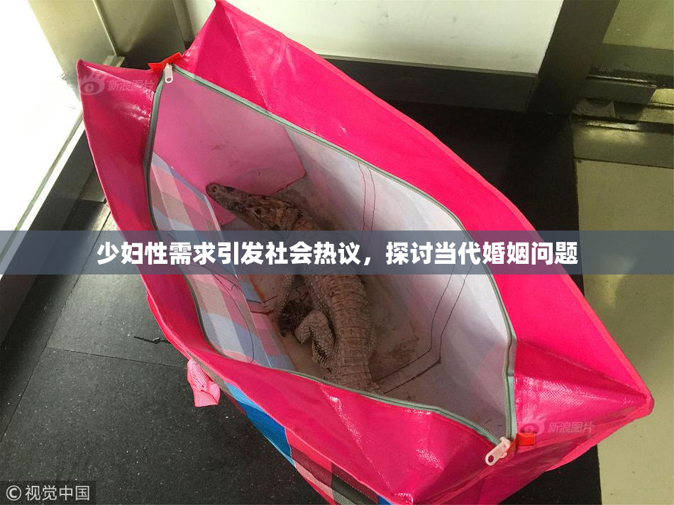 少妇性需求引发社会热议，探讨当代婚姻问题