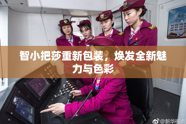 智小把莎重新包装，焕发全新魅力与色彩