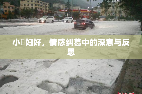 小婬妇好，情感纠葛中的深意与反思