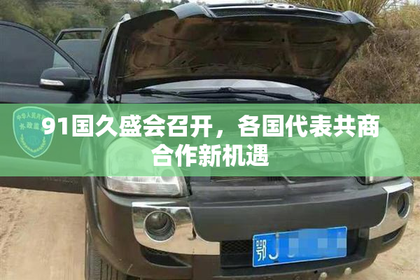 91国久盛会召开，各国代表共商合作新机遇