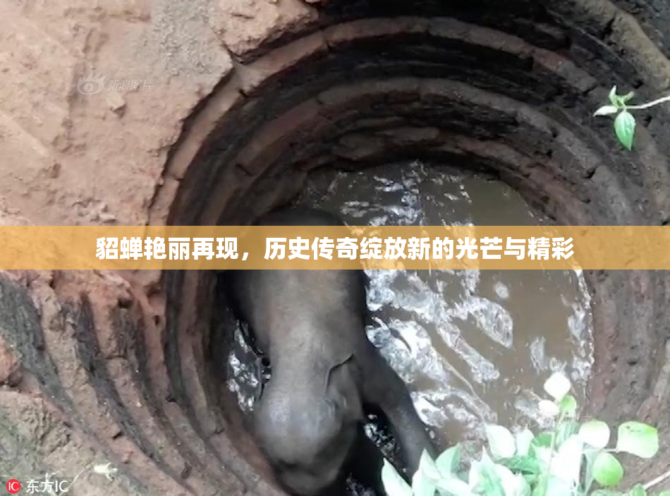 貂蝉艳丽再现，历史传奇绽放新的光芒与精彩