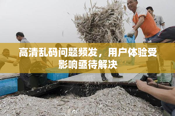 高清乱码问题频发，用户体验受影响亟待解决