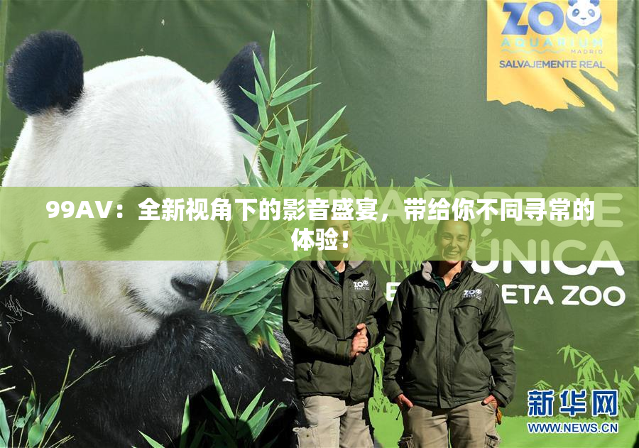 99AV：全新视角下的影音盛宴，带给你不同寻常的体验！