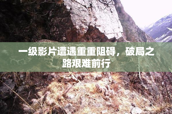 一级影片遭遇重重阻碍，破局之路艰难前行