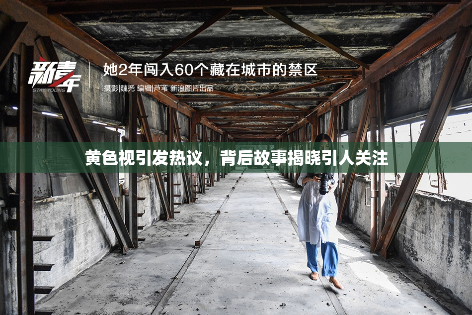 黄色视引发热议，背后故事揭晓引人关注
