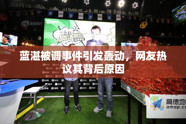 蓝湛被调事件引发轰动，网友热议其背后原因