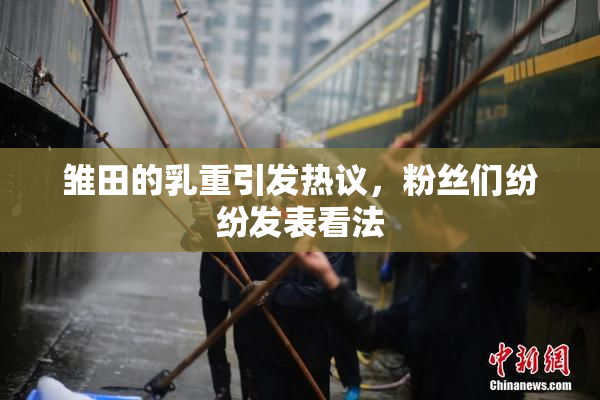 雏田的乳重引发热议，粉丝们纷纷发表看法