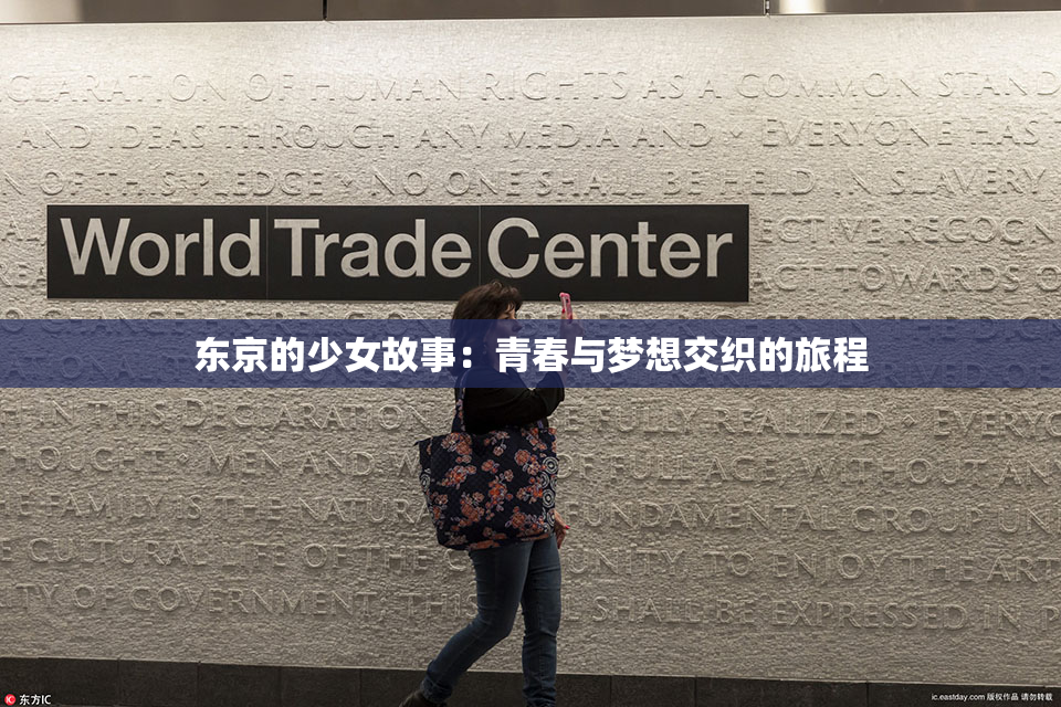 东京的少女故事：青春与梦想交织的旅程