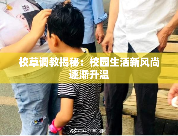 校草调教揭秘：校园生活新风尚逐渐升温