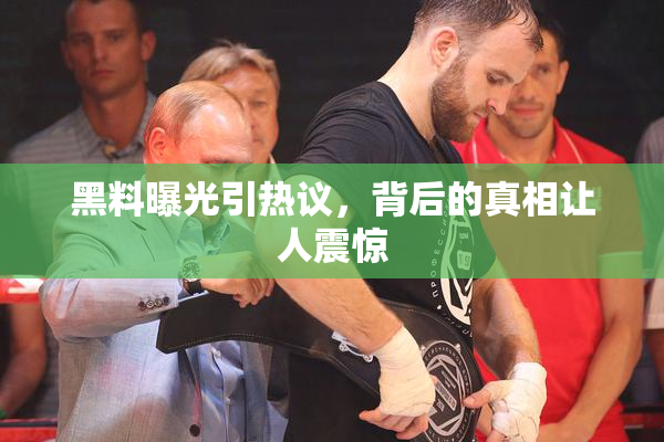 黑料曝光引热议，背后的真相让人震惊