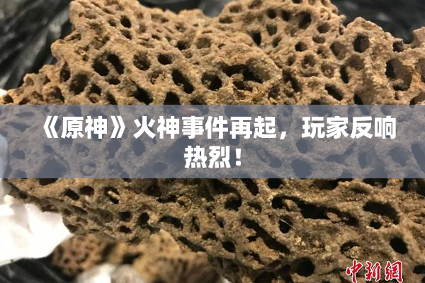 《原神》火神事件再起，玩家反响热烈！