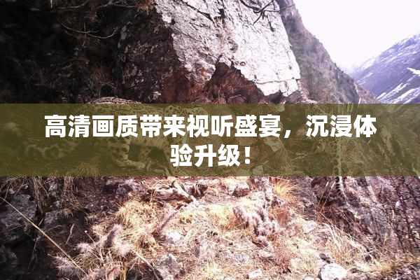 高清画质带来视听盛宴，沉浸体验升级！