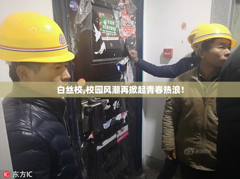 白丝校,校园风潮再掀起青春热浪！