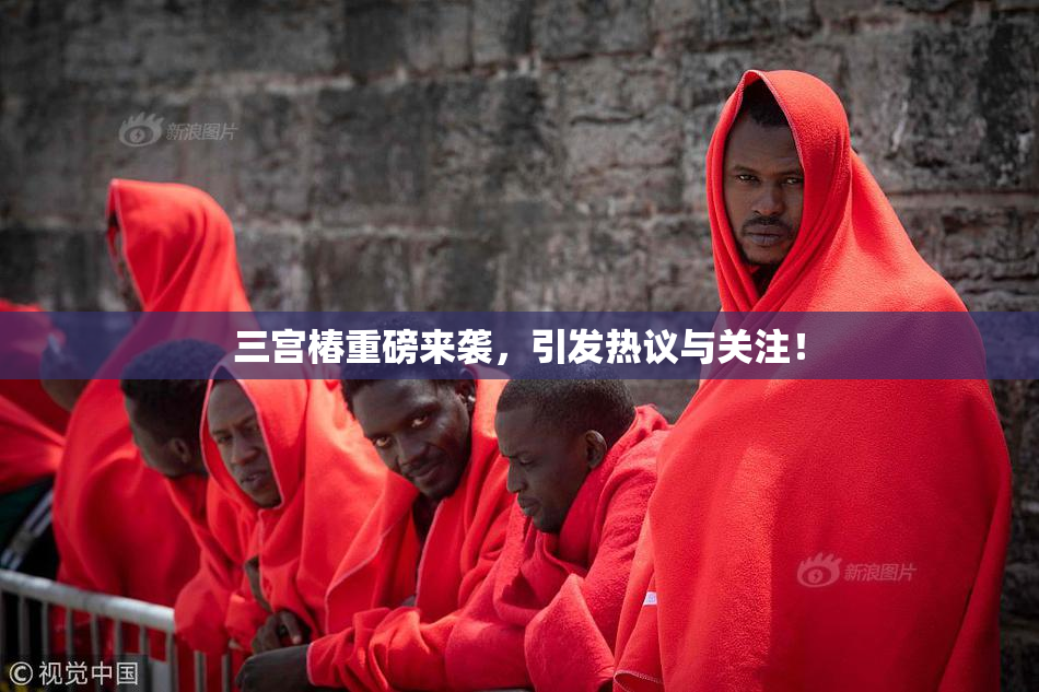 三宫椿重磅来袭，引发热议与关注！