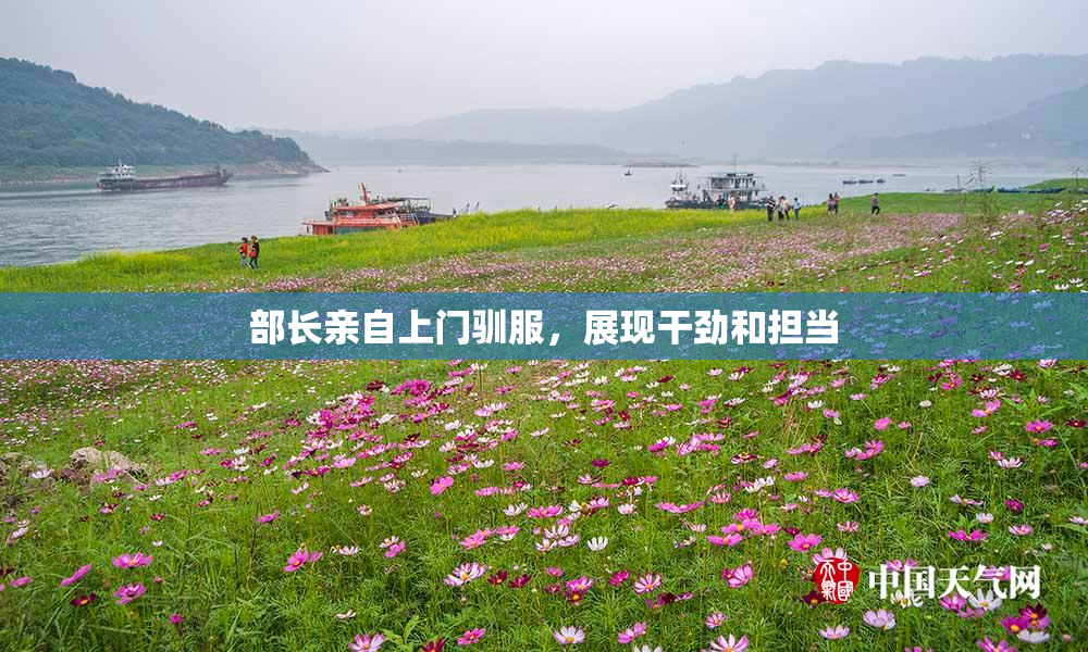 部长亲自上门驯服，展现干劲和担当