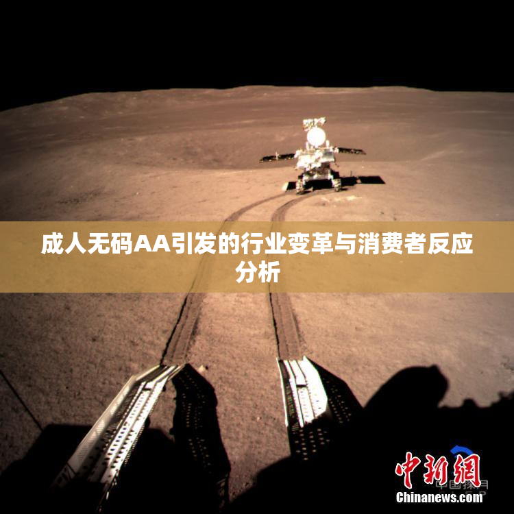 成人无码AA引发的行业变革与消费者反应分析
