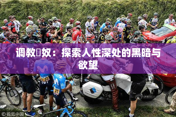 调教婬奴：探索人性深处的黑暗与欲望