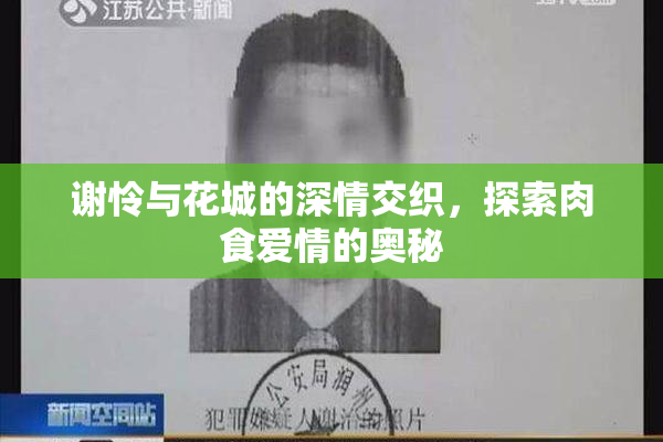谢怜与花城的深情交织，探索肉食爱情的奥秘