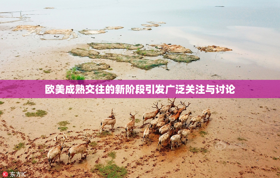 欧美成熟交往的新阶段引发广泛关注与讨论