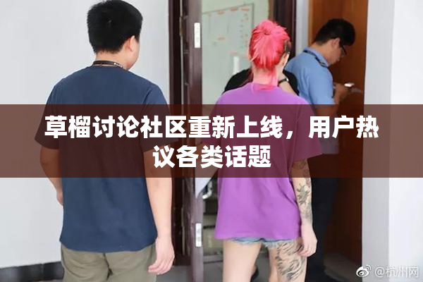 草榴讨论社区重新上线，用户热议各类话题