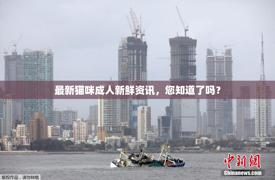 最新猫咪成人新鲜资讯，您知道了吗？