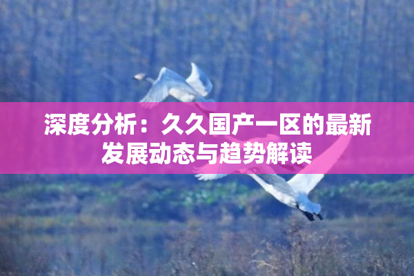 深度分析：久久国产一区的最新发展动态与趋势解读