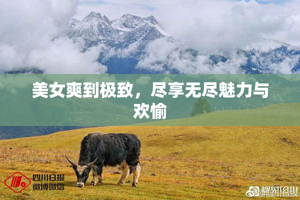 美女爽到极致，尽享无尽魅力与欢愉