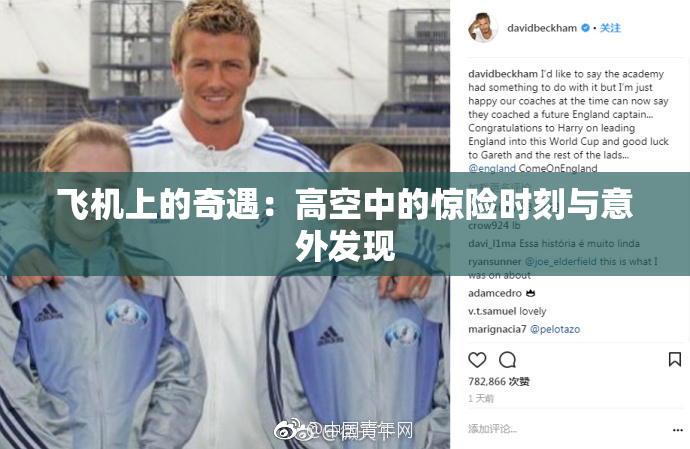 飞机上的奇遇：高空中的惊险时刻与意外发现