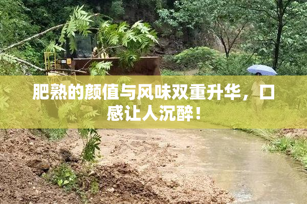 肥熟的颜值与风味双重升华，口感让人沉醉！
