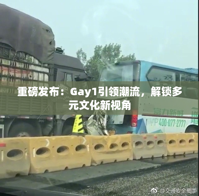 重磅发布：Gay1引领潮流，解锁多元文化新视角