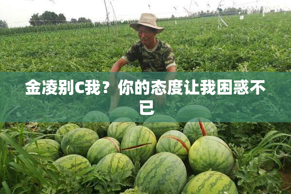 金凌别C我？你的态度让我困惑不已