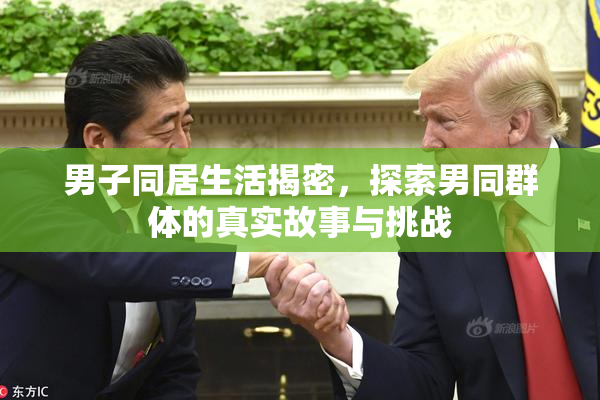 男子同居生活揭密，探索男同群体的真实故事与挑战
