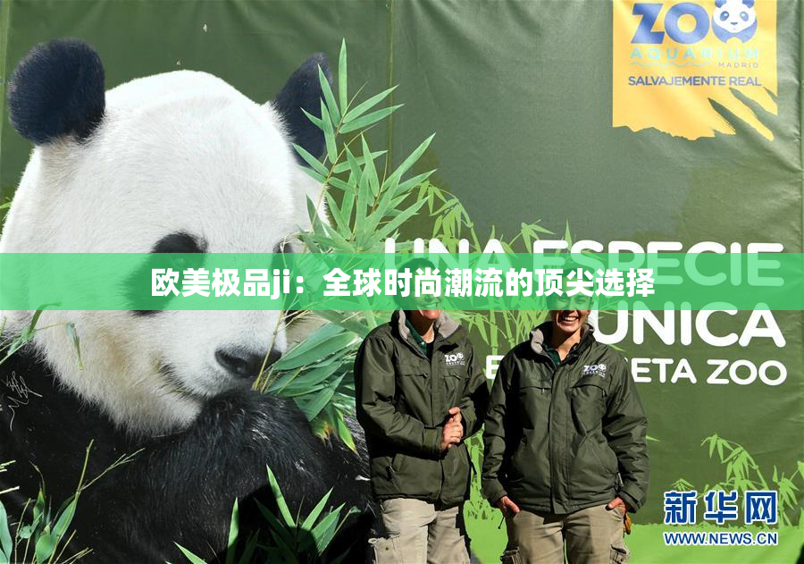 欧美极品ji：全球时尚潮流的顶尖选择