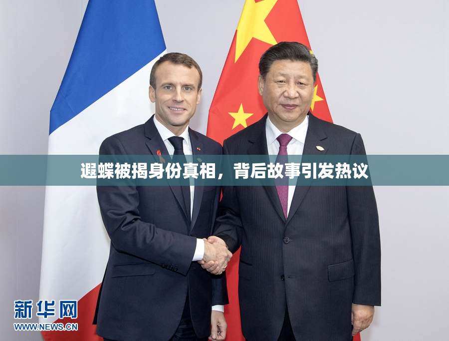 遐蝶被揭身份真相，背后故事引发热议