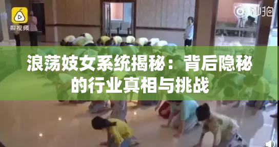 浪荡妓女系统揭秘：背后隐秘的行业真相与挑战