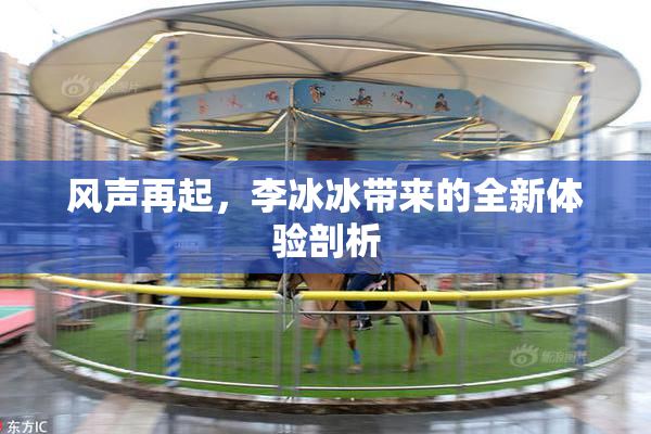 风声再起，李冰冰带来的全新体验剖析