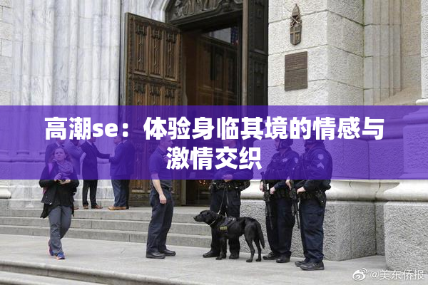 高潮se：体验身临其境的情感与激情交织